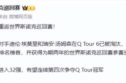 爱游戏APP-名将表现抢眼，助球队成功晋级