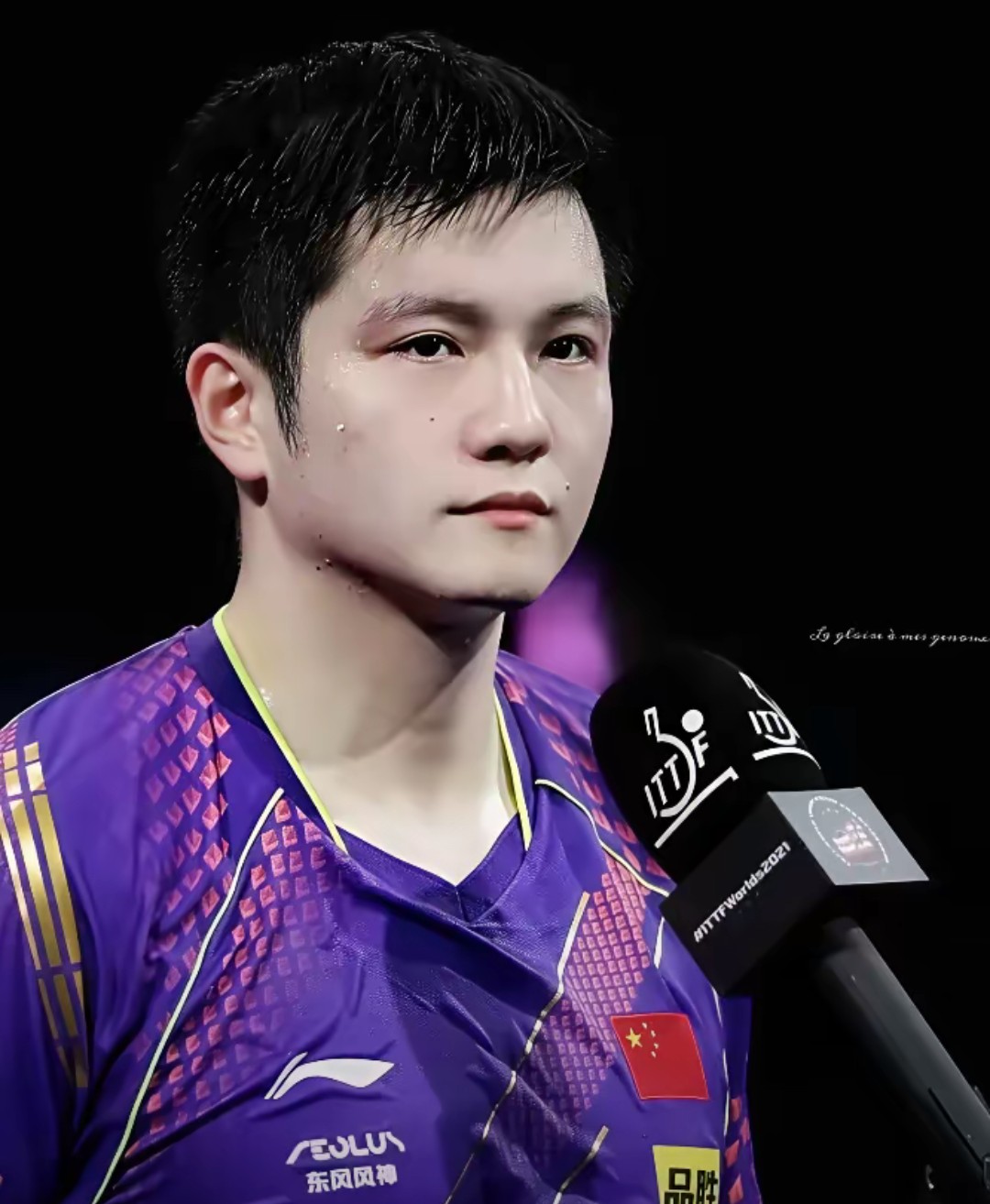 包含葡萄牙队力克中国队，樊振东高光表现的词条