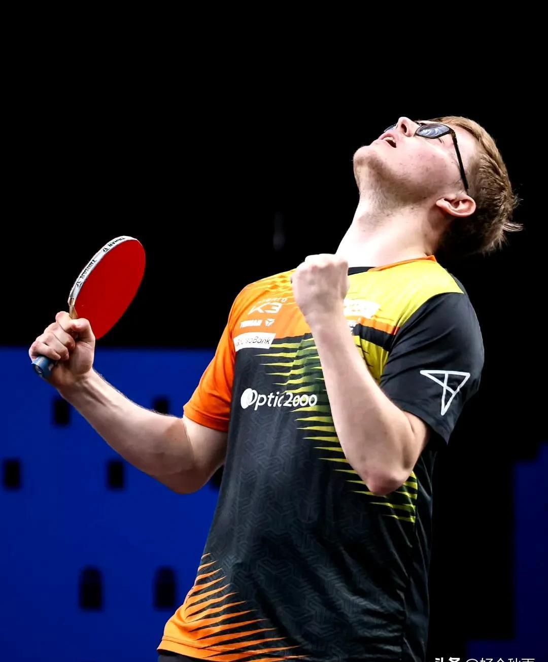 德国乒乓球队逆转瑞典乒乓球队，水谷隼高光表现的简单介绍