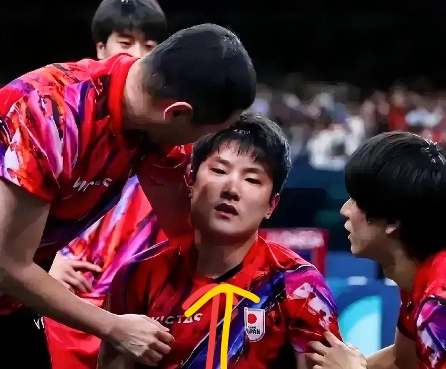 葡萄牙队碾压日本队，张本智和状态火热的简单介绍