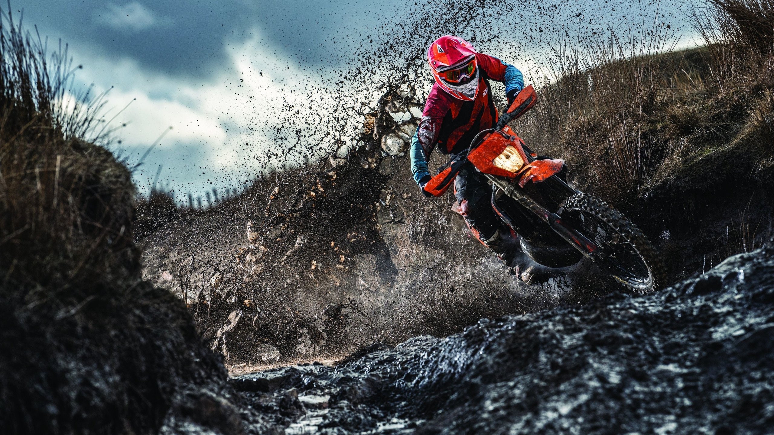 跨界统治力，从范弗利特接管欧冠到雄鹿碾压绿军的胜利哲学